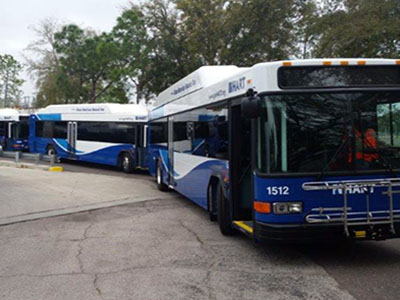 CNG Buses